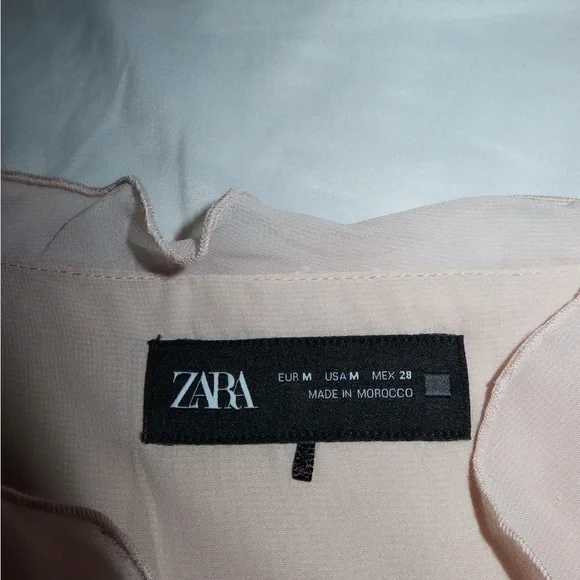 Zara Blush Pink Chiffon Blouse - Picture 2 of 3